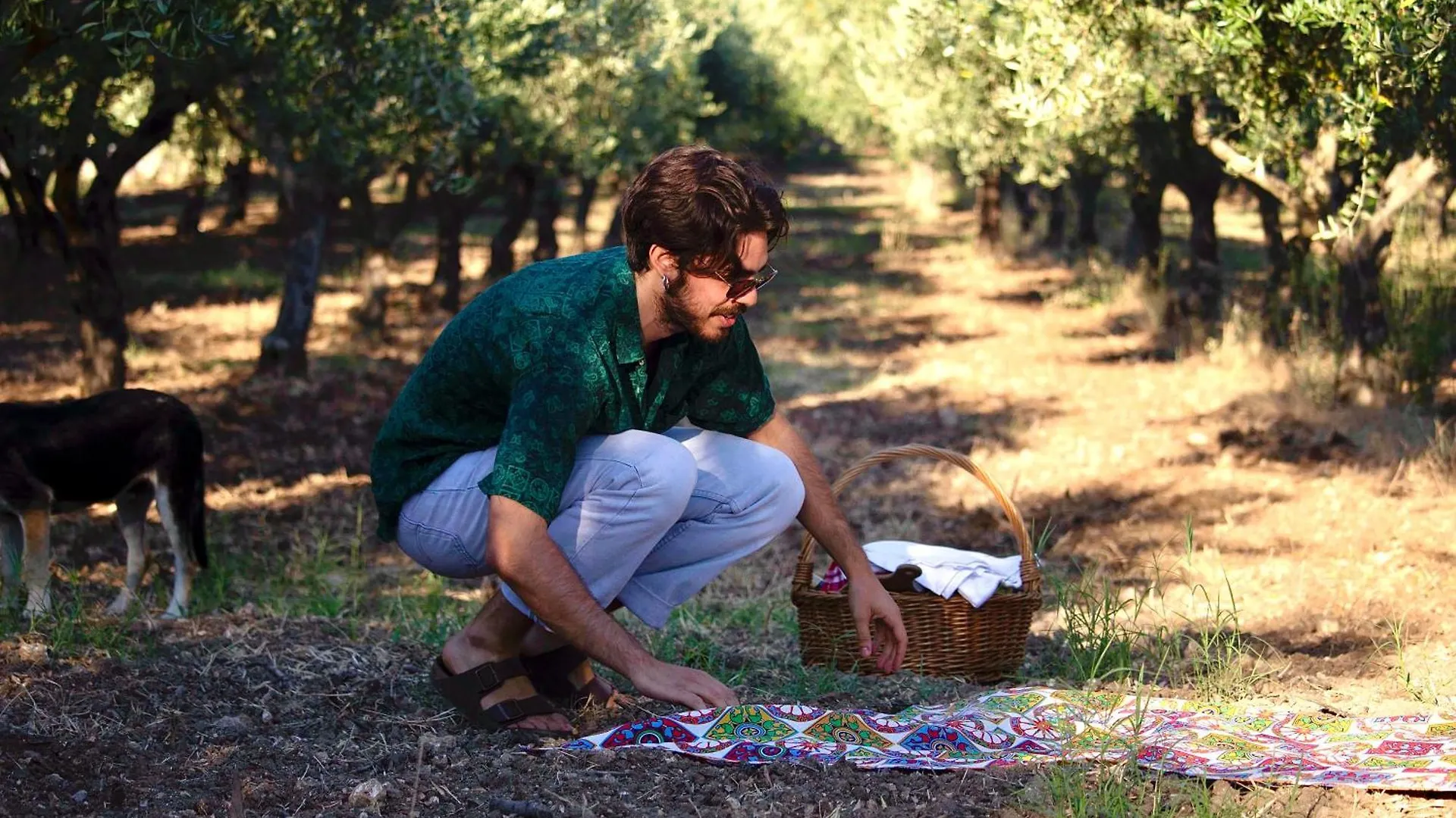 Oikos In Terre Di Zaccanello Racalmuto Farm stay